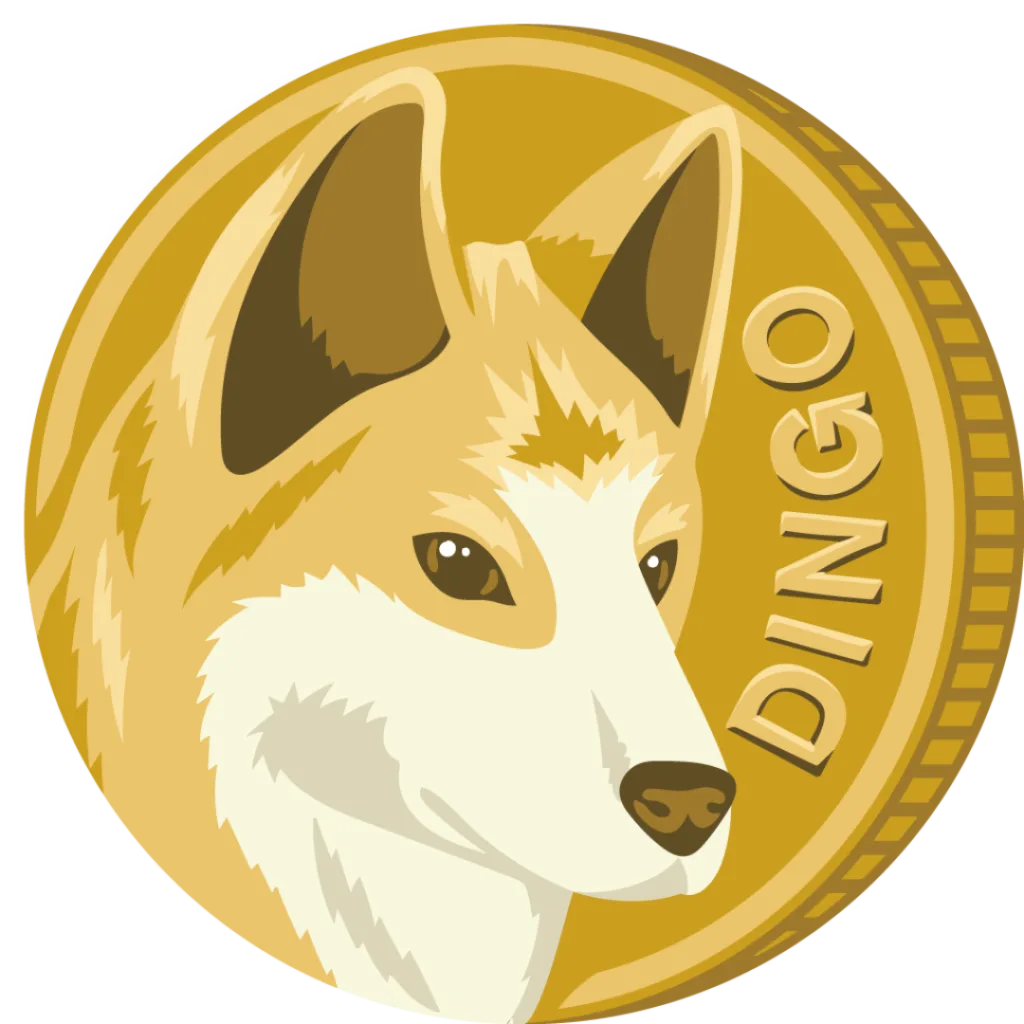 dingo