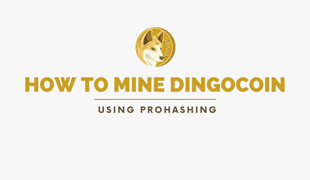 How to Mine Dingocoin Using Prohashing